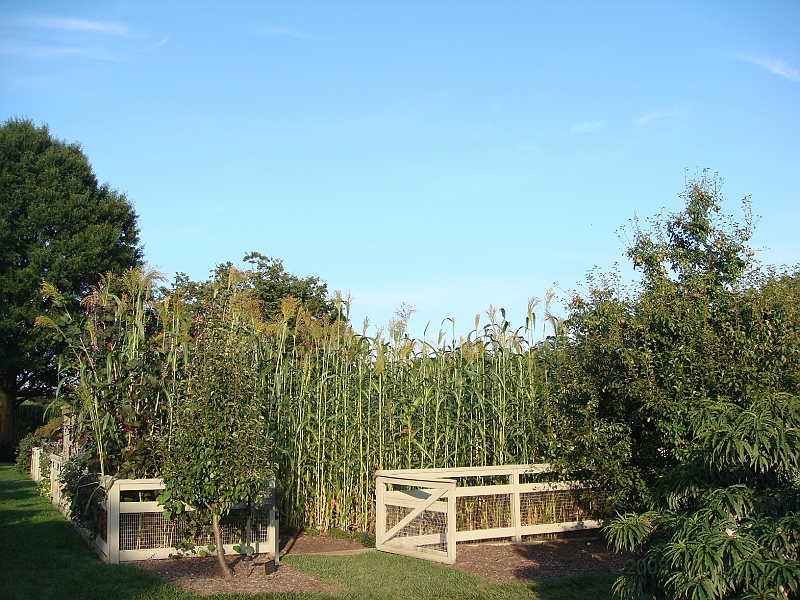 462 Longwood Gardens [2008 August 23].JPG - Longwood Gardens in Pennsylvania
